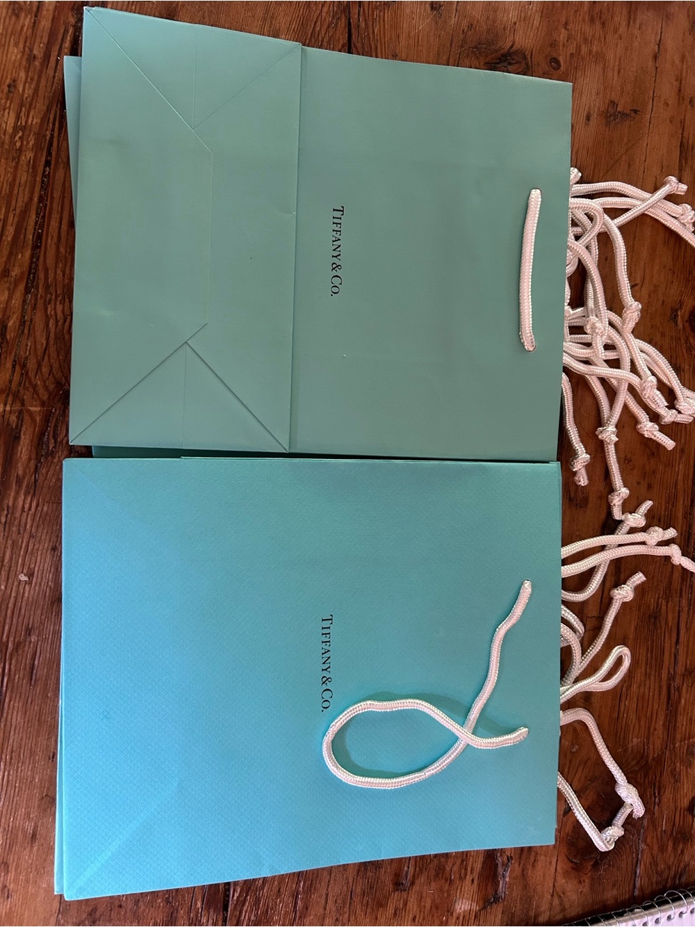 7 Tiffany & Co. Robin's Egg Blue Shopping Bags with White Rope Handles